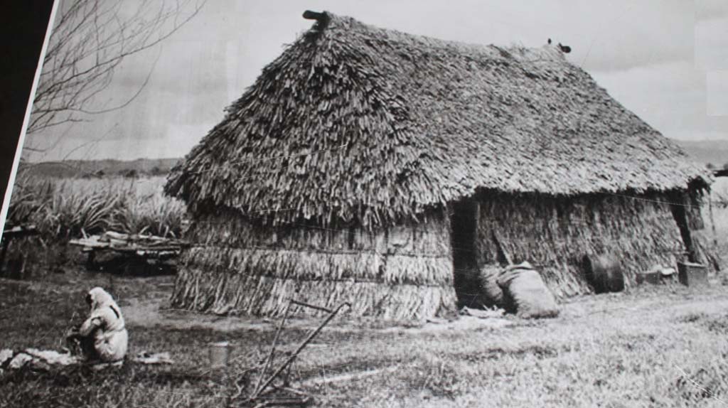 “Indo-Fijian Homestead”, n.d. Source: Ba Civic Museum