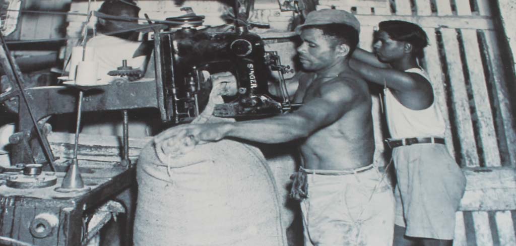“Sewing sugar cane sacks”, n.d. Source: Ba Civic Museum